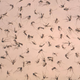 Illustration for article titled What If Every Mosquito On Earth Went Extinct Tomorrow?
